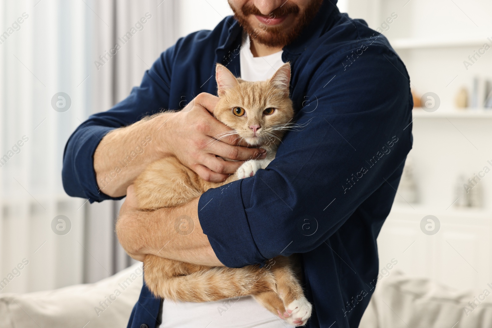 Photo of Man petting cute ginger cat at home, closeup