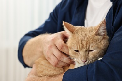 Photo of Man petting cute ginger cat at home, closeup