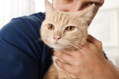 Man petting cute ginger cat at home, closeup