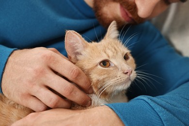 Man petting cute ginger cat on sofa at home, closeup