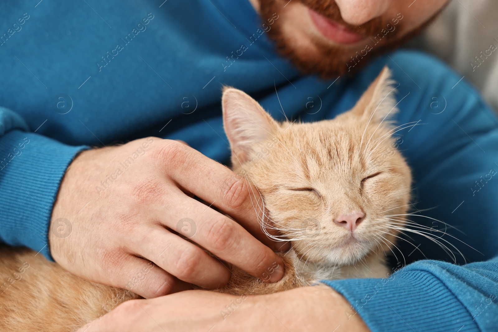 Photo of Man petting cute ginger cat on sofa at home, closeup