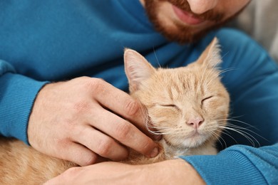 Man petting cute ginger cat on sofa at home, closeup