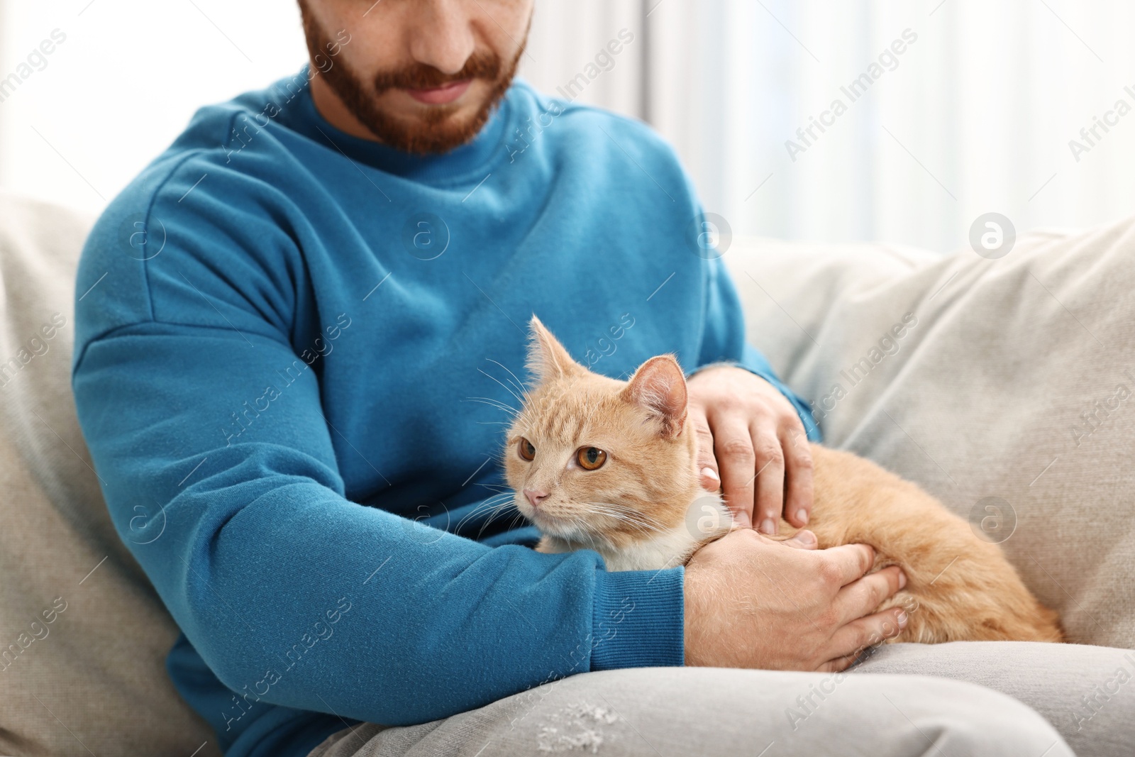 Photo of Man petting cute ginger cat on sofa at home, closeup