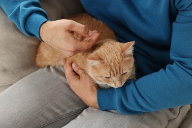 Photo of Man petting cute ginger cat on sofa at home, closeup