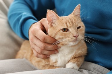 Man petting cute ginger cat on sofa at home, closeup