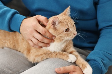 Photo of Man petting cute ginger cat on sofa at home, closeup