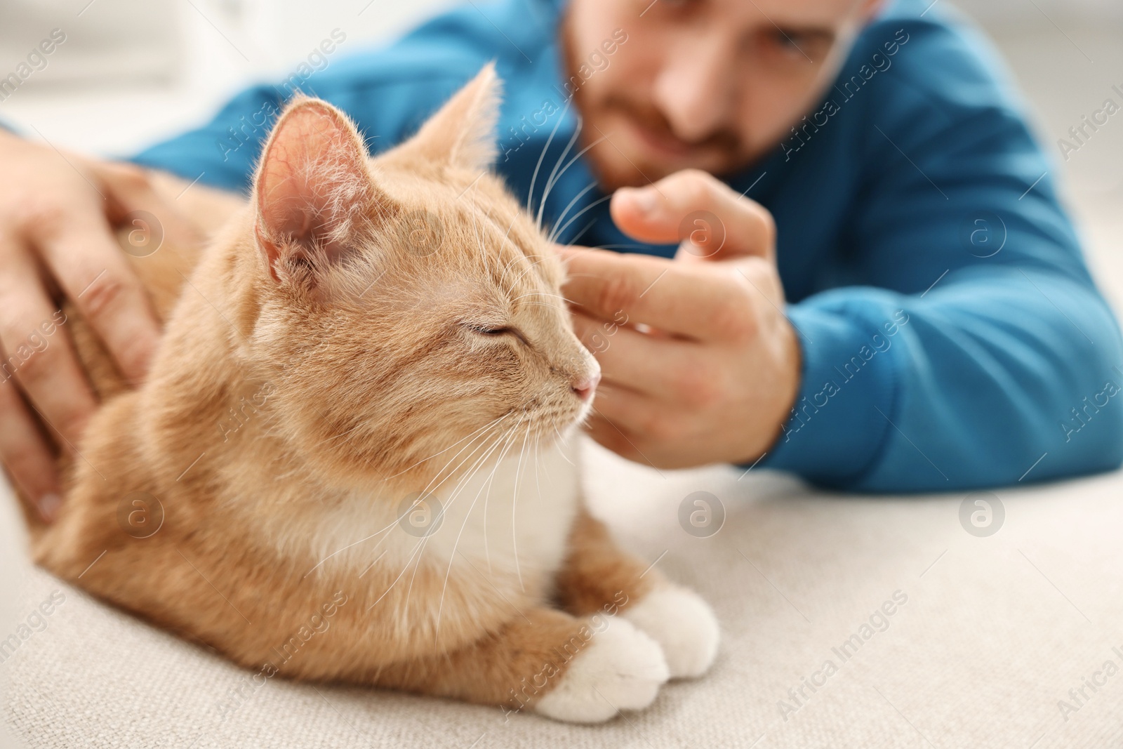 Photo of Man petting cute ginger cat on sofa at home, selective focus