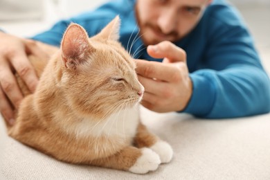 Man petting cute ginger cat on sofa at home, selective focus