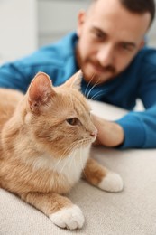 Photo of Man petting cute ginger cat on sofa at home, selective focus