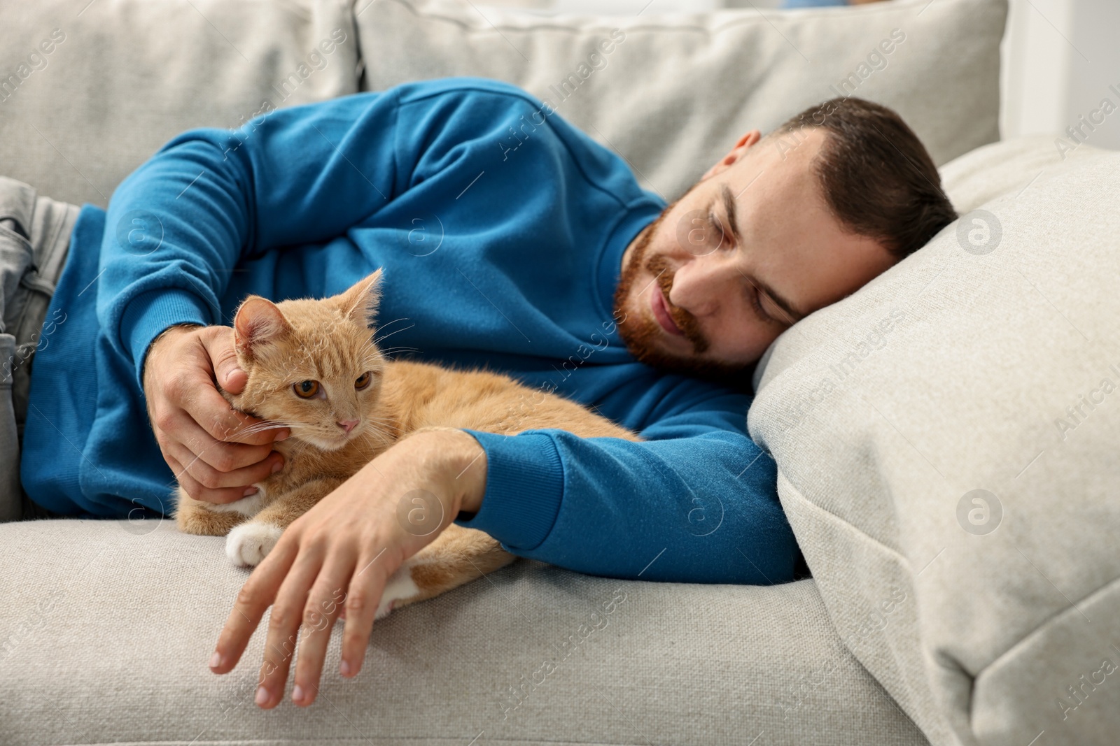 Photo of Man petting cute ginger cat on sofa at home