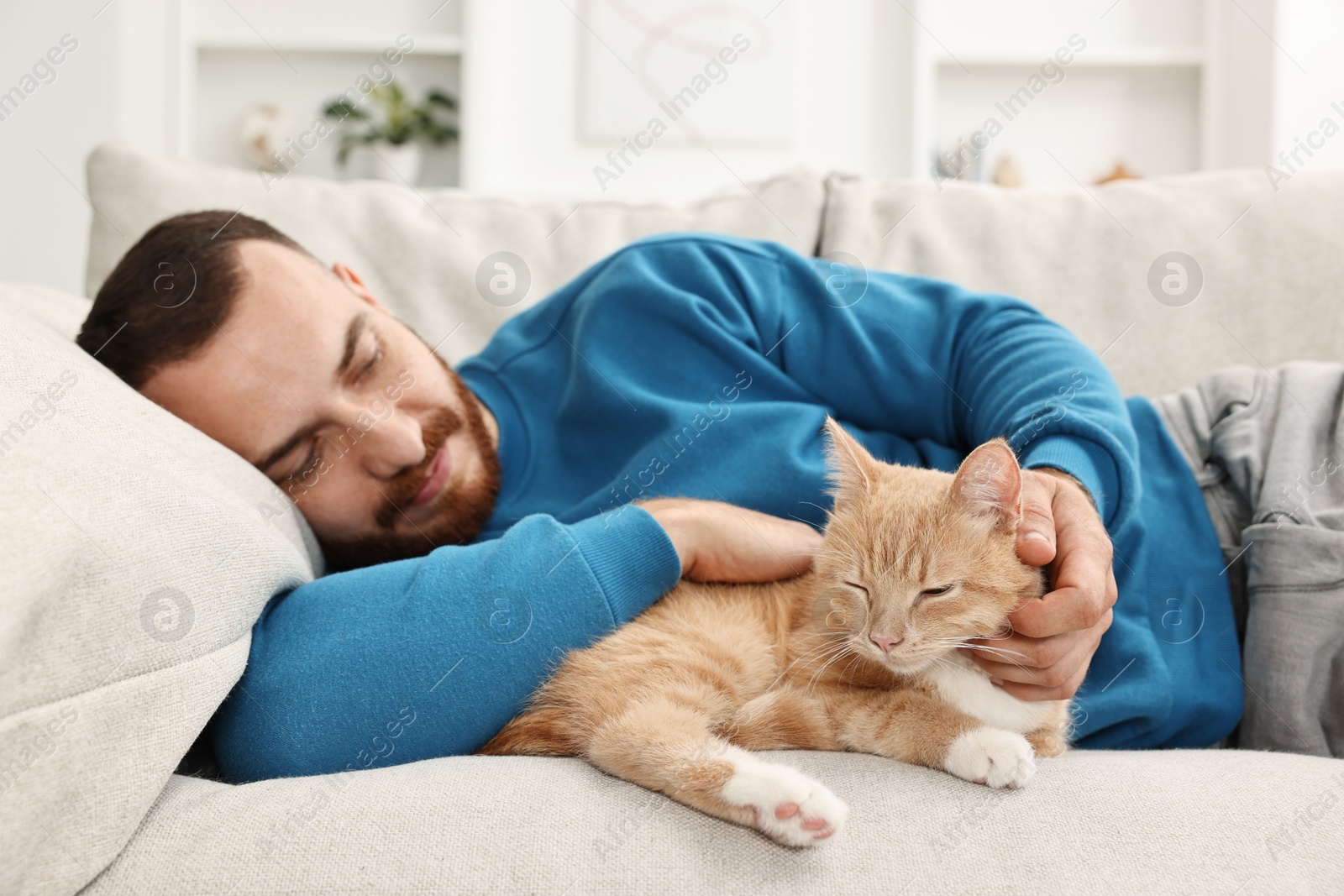 Photo of Man petting cute ginger cat on sofa at home