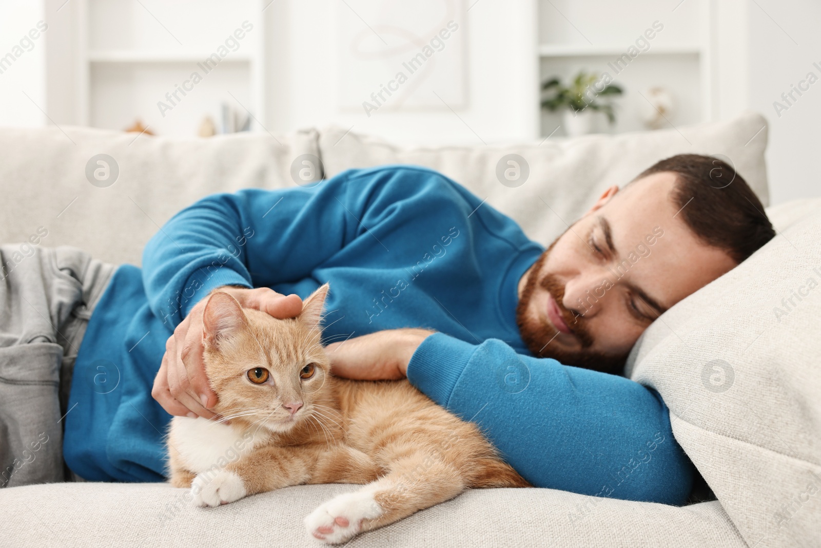 Photo of Man petting cute ginger cat on sofa at home