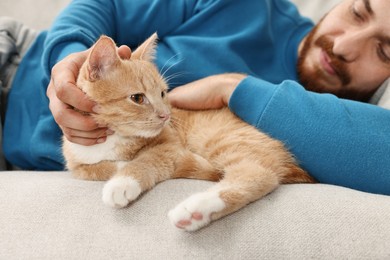 Man petting cute ginger cat on sofa at home