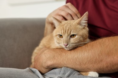 Man petting cute ginger cat on armchair at home, closeup. Space for text