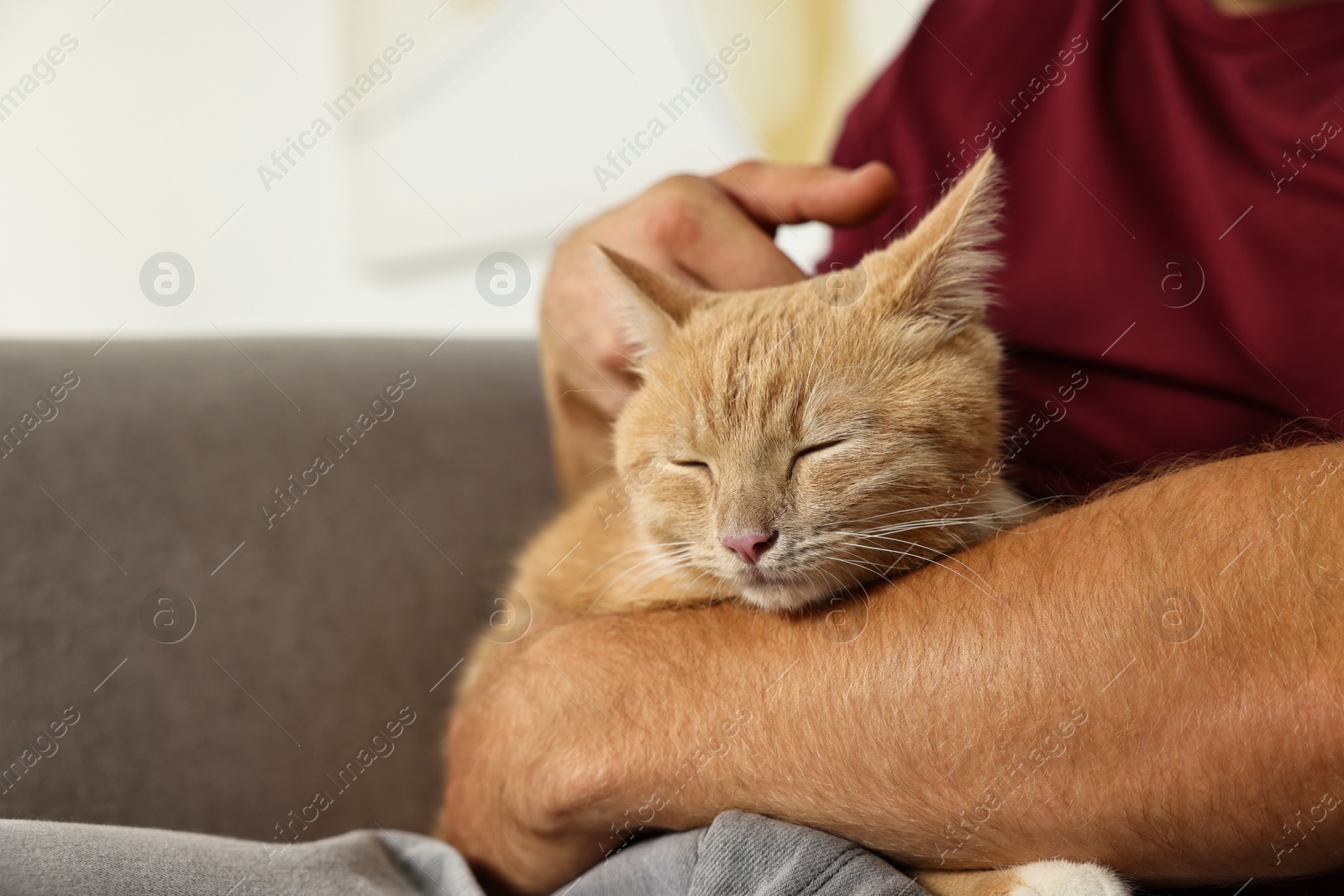 Photo of Man petting cute ginger cat on armchair at home, closeup. Space for text