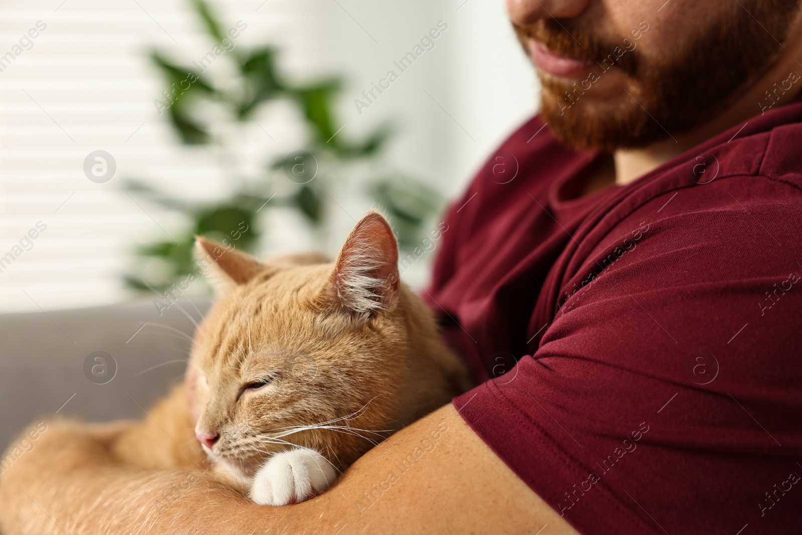 Photo of Man petting cute ginger cat on armchair at home, closeup