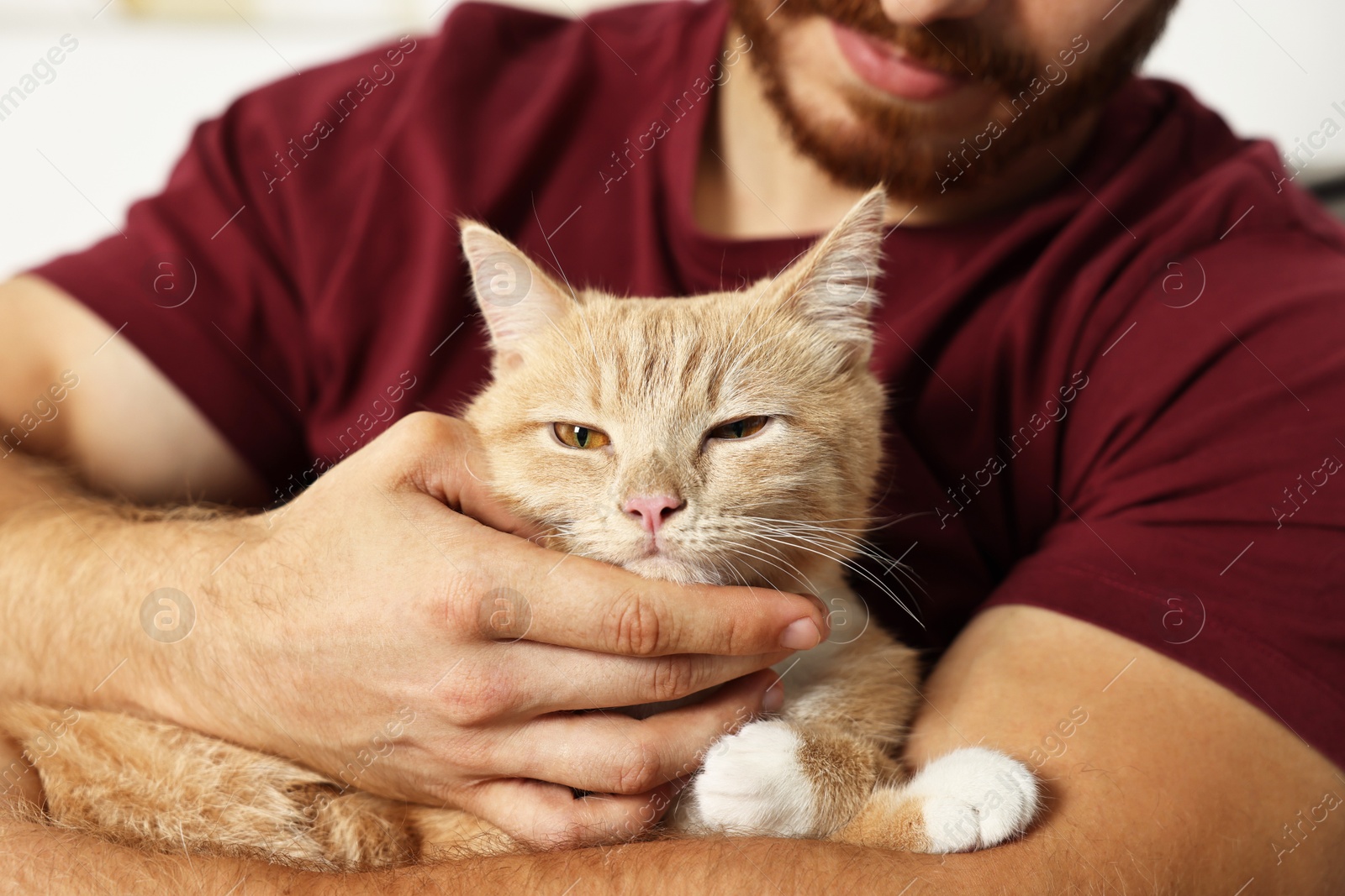 Photo of Man petting cute ginger cat on armchair at home, closeup