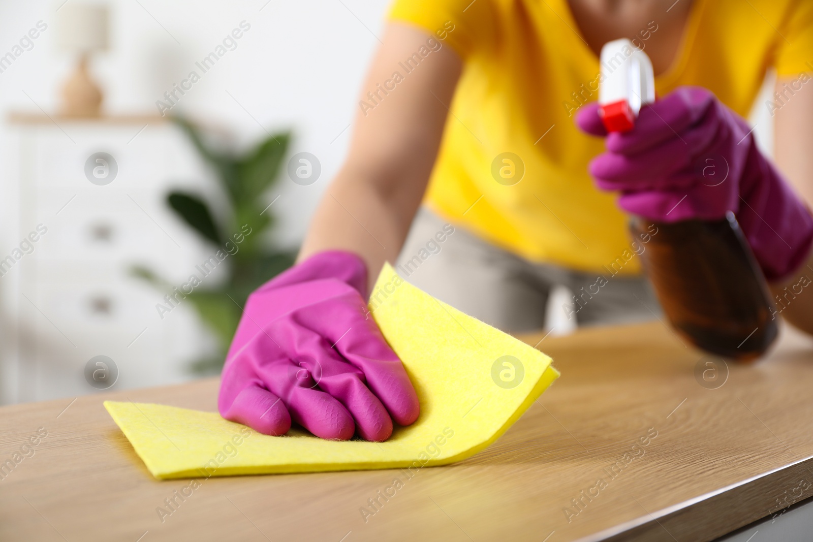 Photo of Woman cleaning table with rag and spray at home, closeup