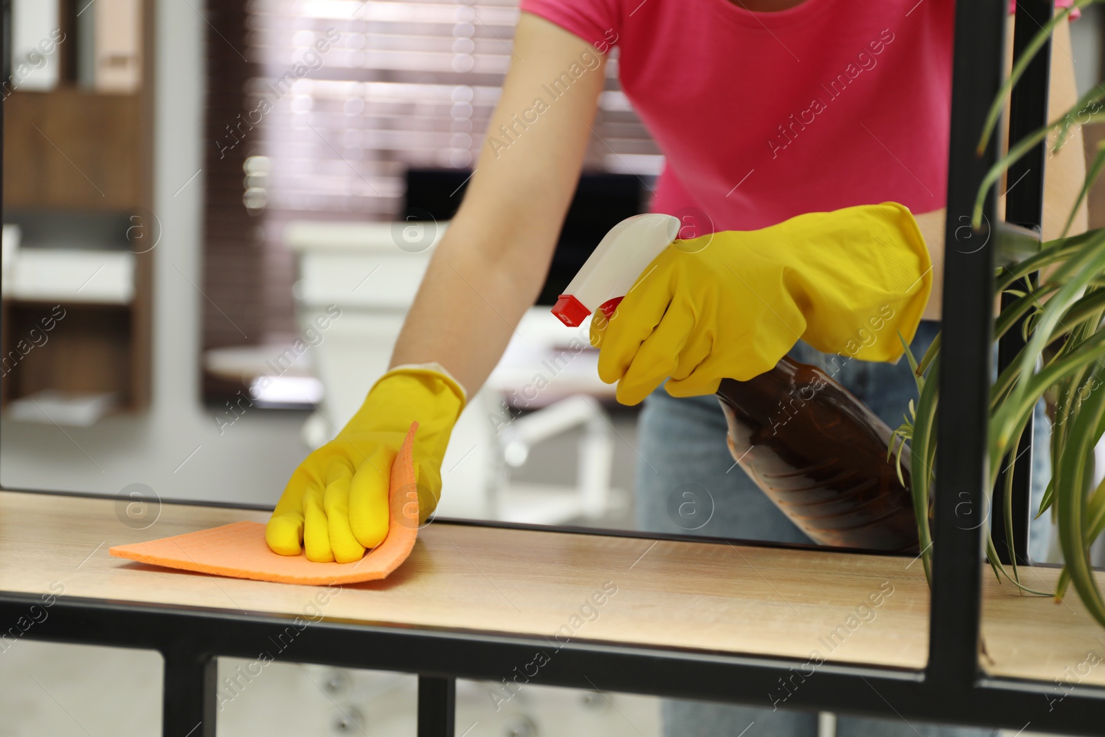 Photo of Young woman cleaning wooden shelf with rag and spray in office, closeup