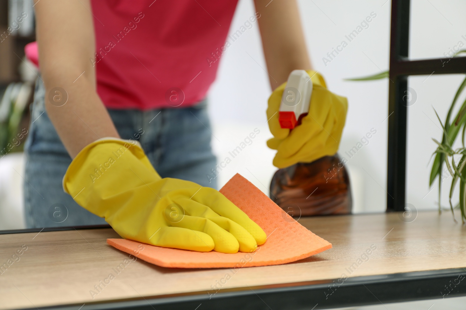 Photo of Young woman cleaning wooden shelf with rag and spray in office, closeup