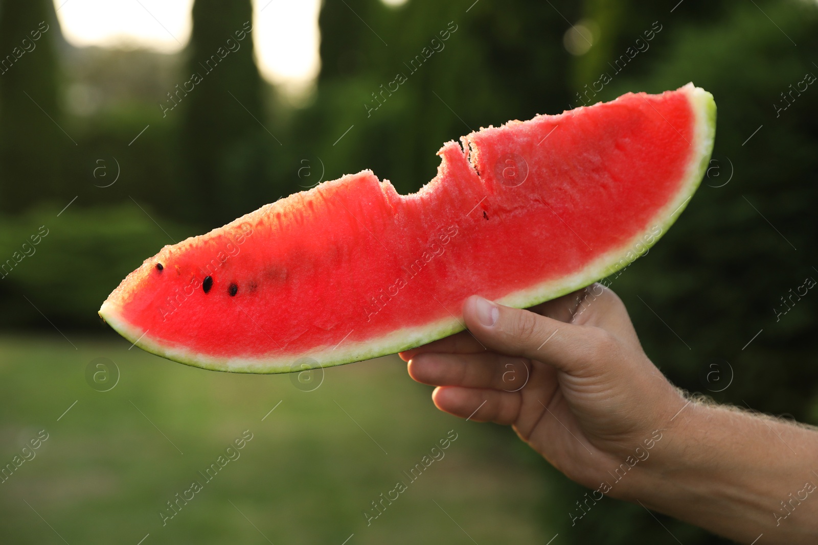 Photo of Man holding slice of juicy watermelon outdoors on sunny day, closeup