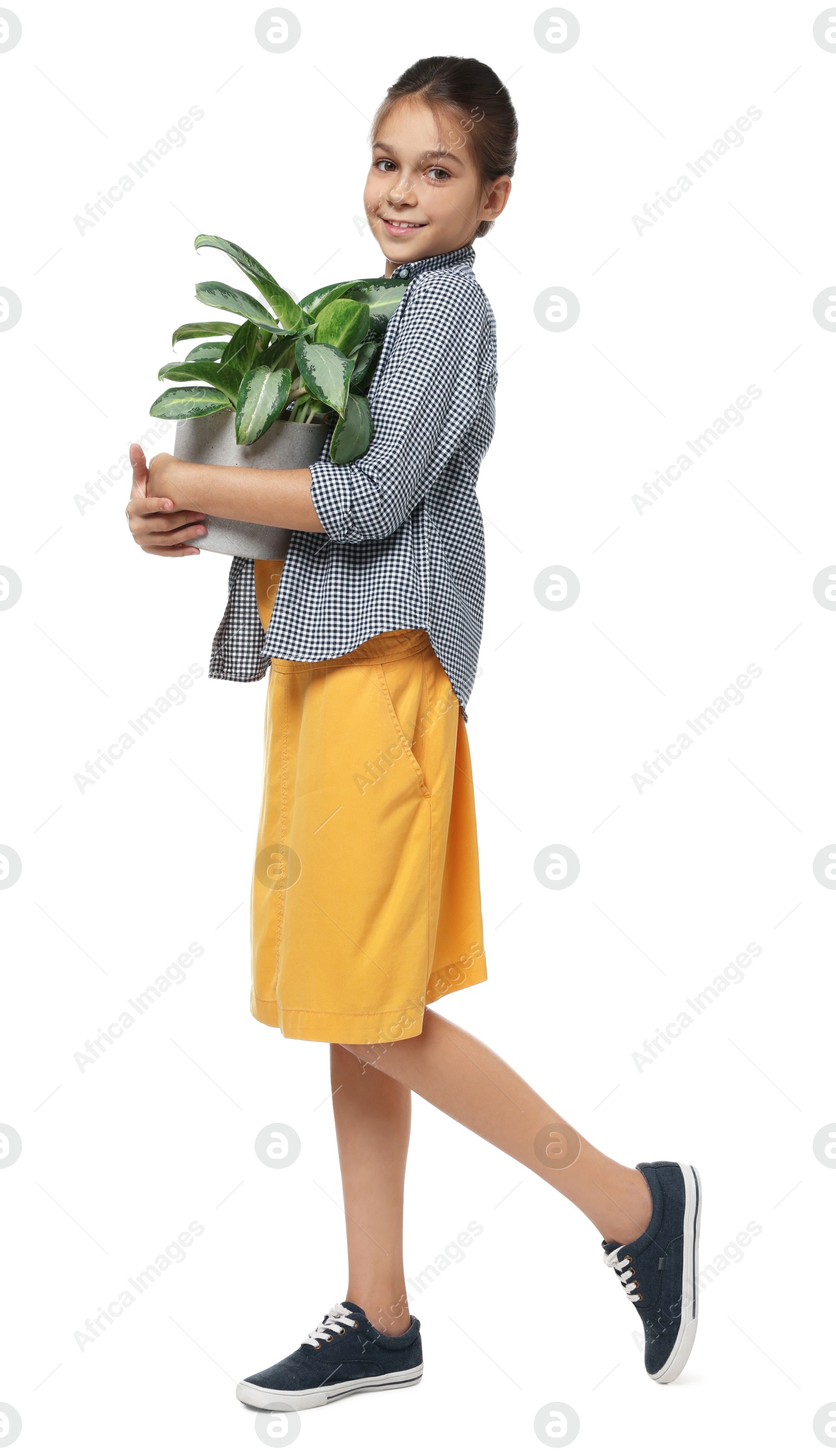 Photo of Girl with potted plant pretending to be gardener on white background. Dreaming of future profession