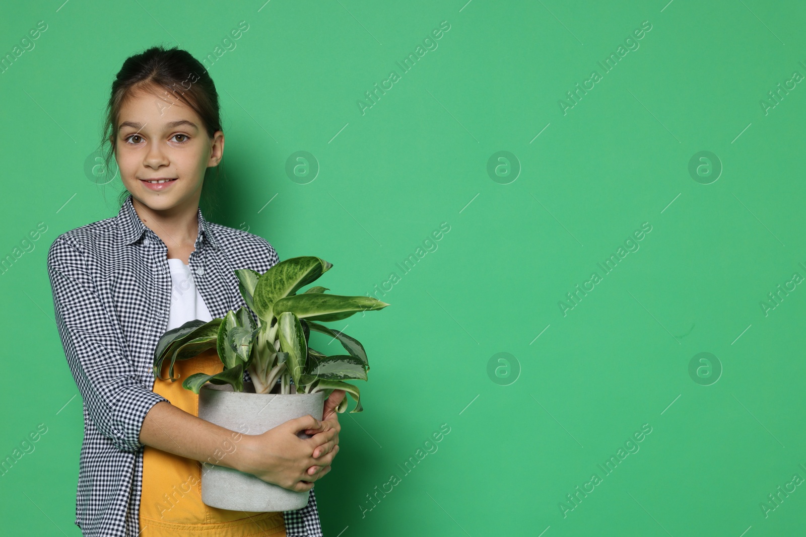 Photo of Girl with potted plant pretending to be gardener on green background, space for text. Dreaming of future profession