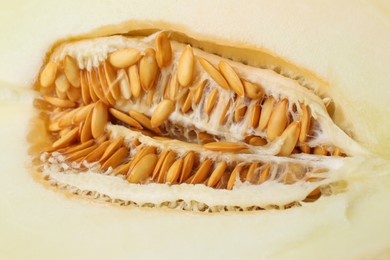 Photo of Piece of fresh melon as background, top view