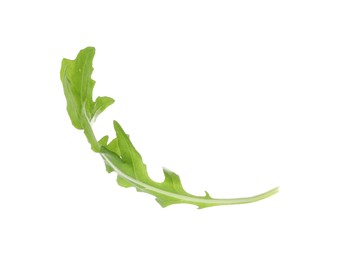 Photo of One fresh arugula leaf isolated on white