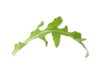 Photo of One fresh arugula leaf isolated on white