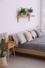 Photo of Large bed, houseplants and decorative elements in room. Stylish bedroom interior