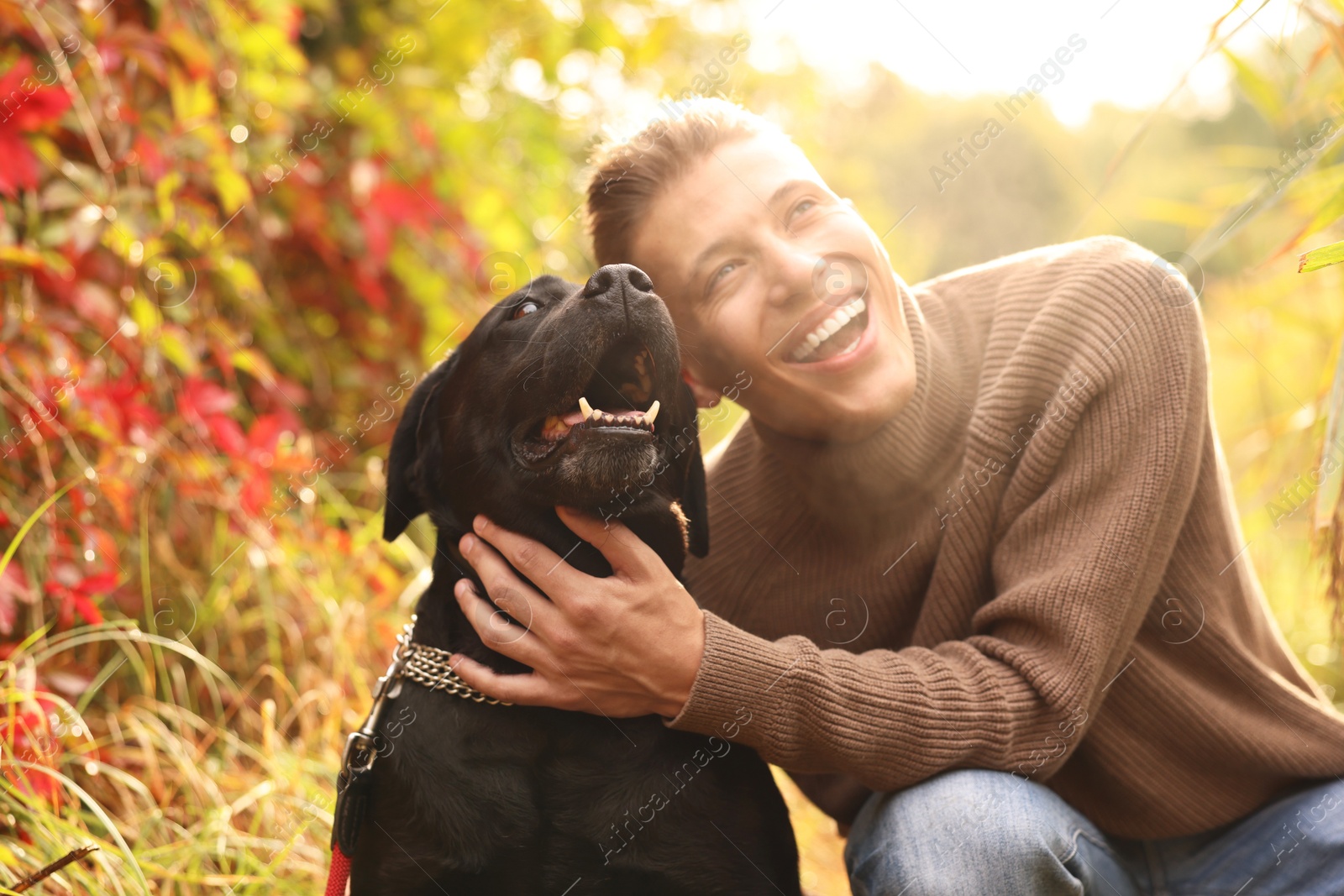 Photo of Smiling man with cute dog outdoors on autumn day