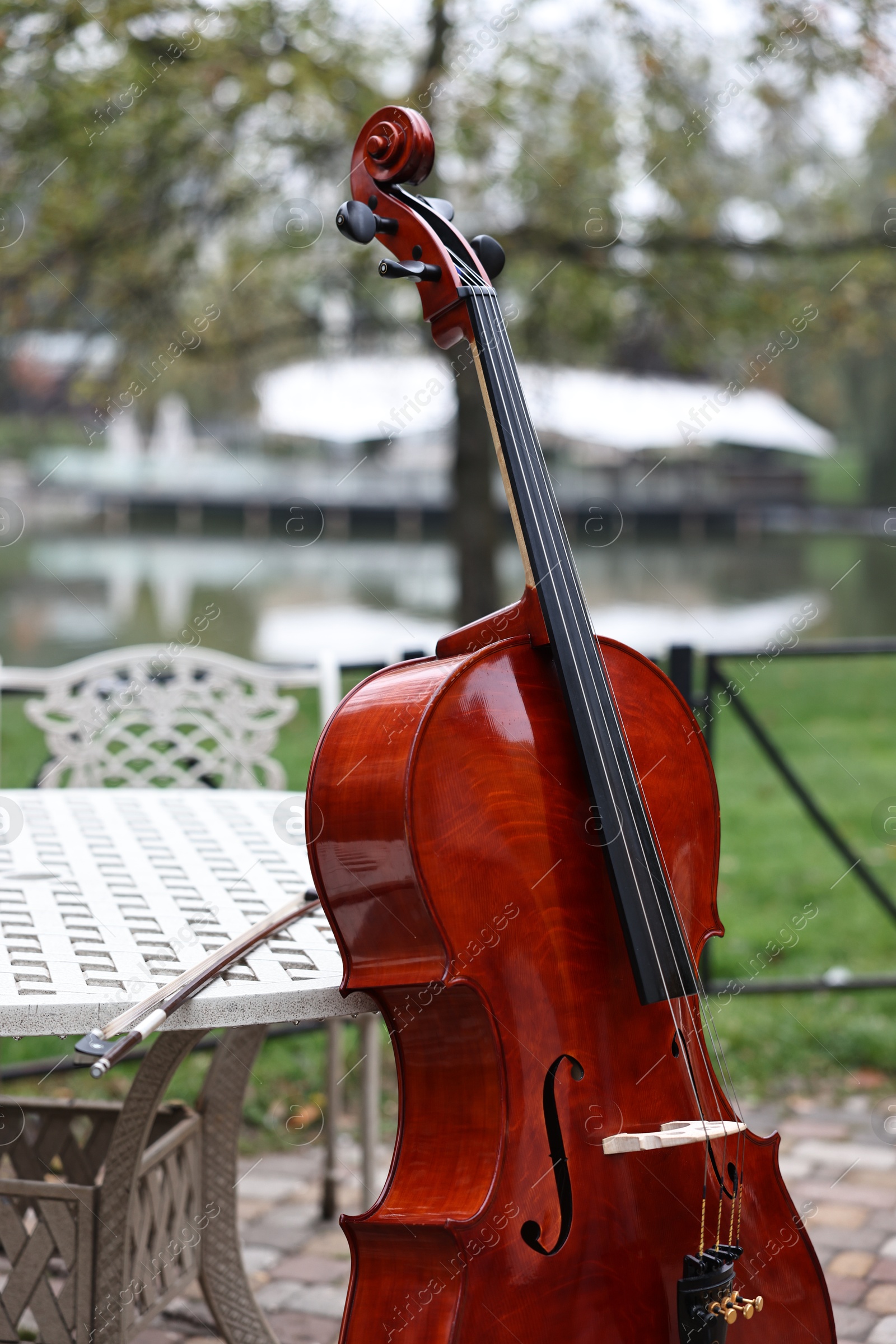 Photo of Beautiful cello near coffee table in park. Classic musical instrument