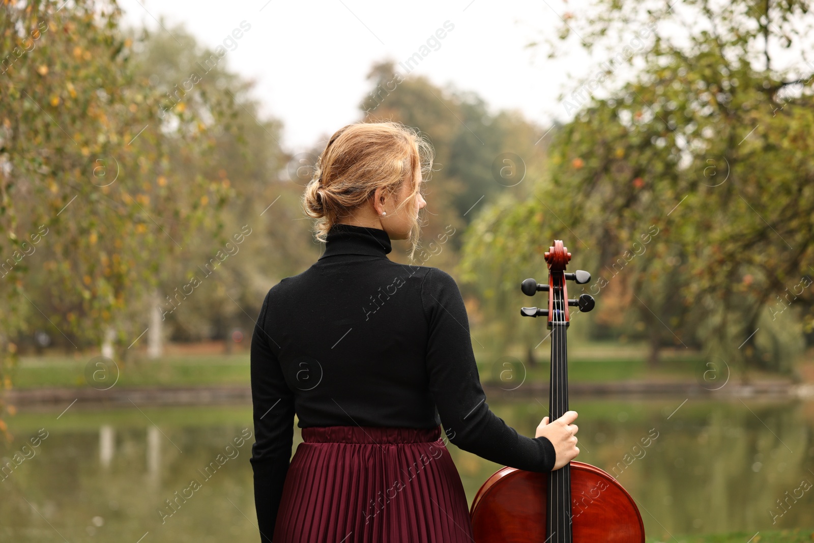 Photo of Woman with cello in park, back view. Classic musical instrument