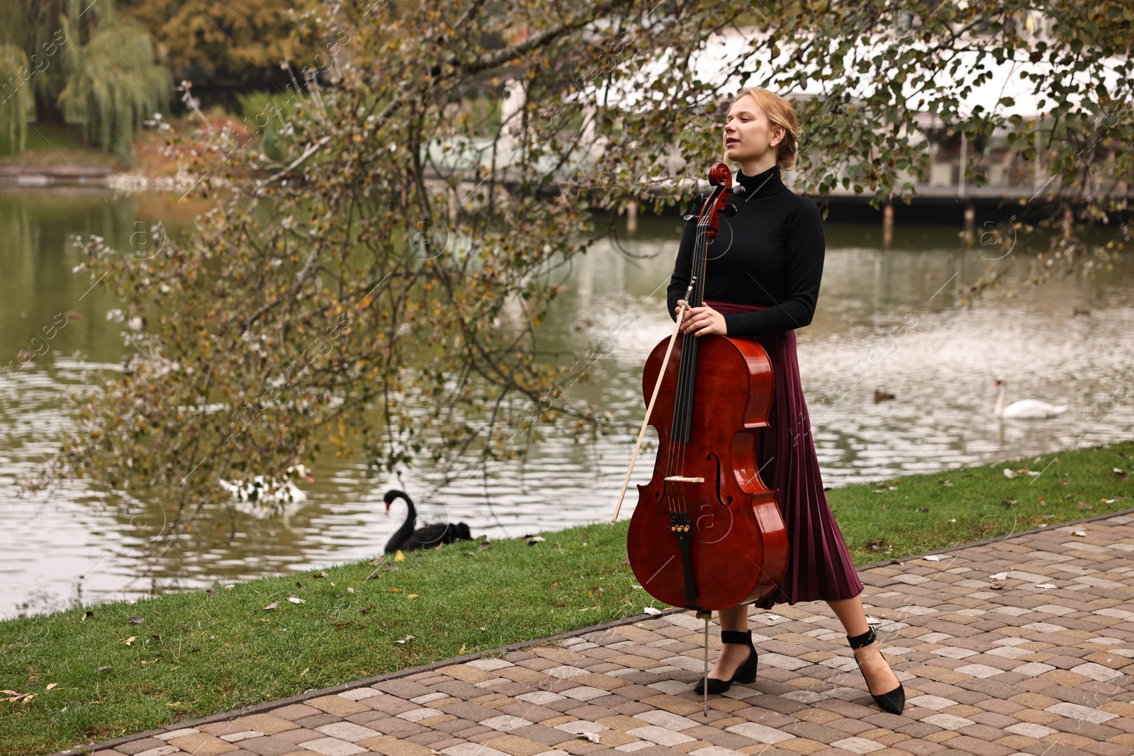 Photo of Beautiful young woman with cello in park, space for text