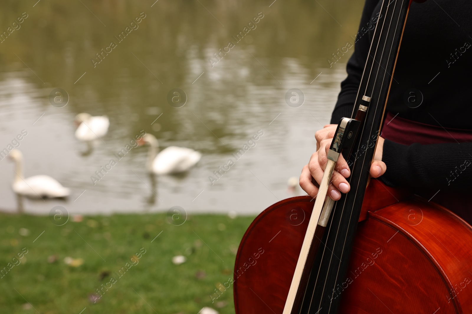 Photo of Woman with cello in park, closeup. Space for text