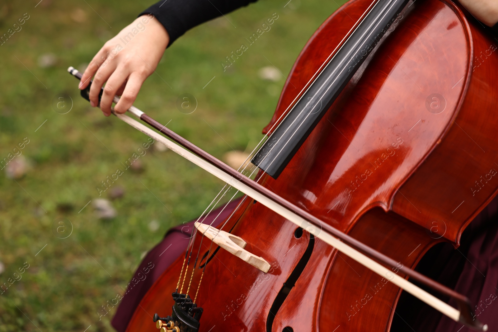 Photo of Woman playing cello outdoors, closeup. Classic musical instrument