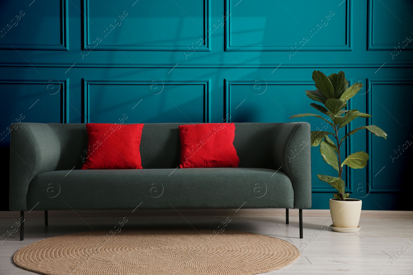 Image of Comfortable sofa with cushions and houseplant near teal color wall in room