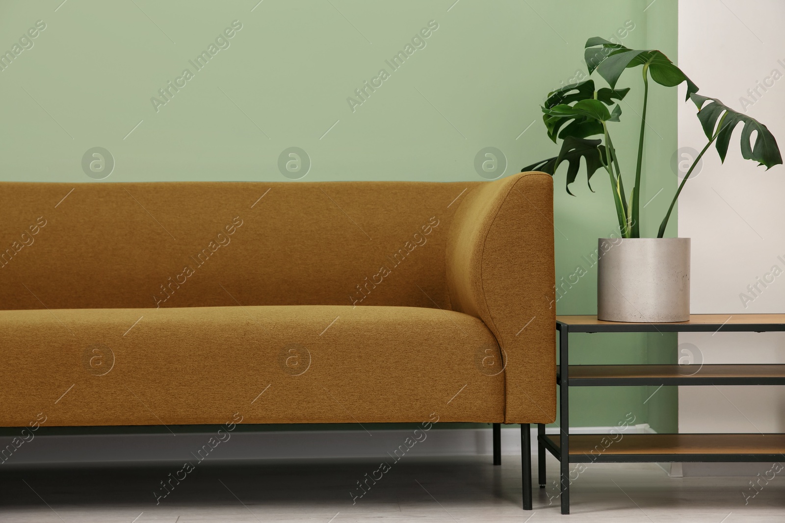 Image of Comfortable sofa and shelving unit near light green wall in room