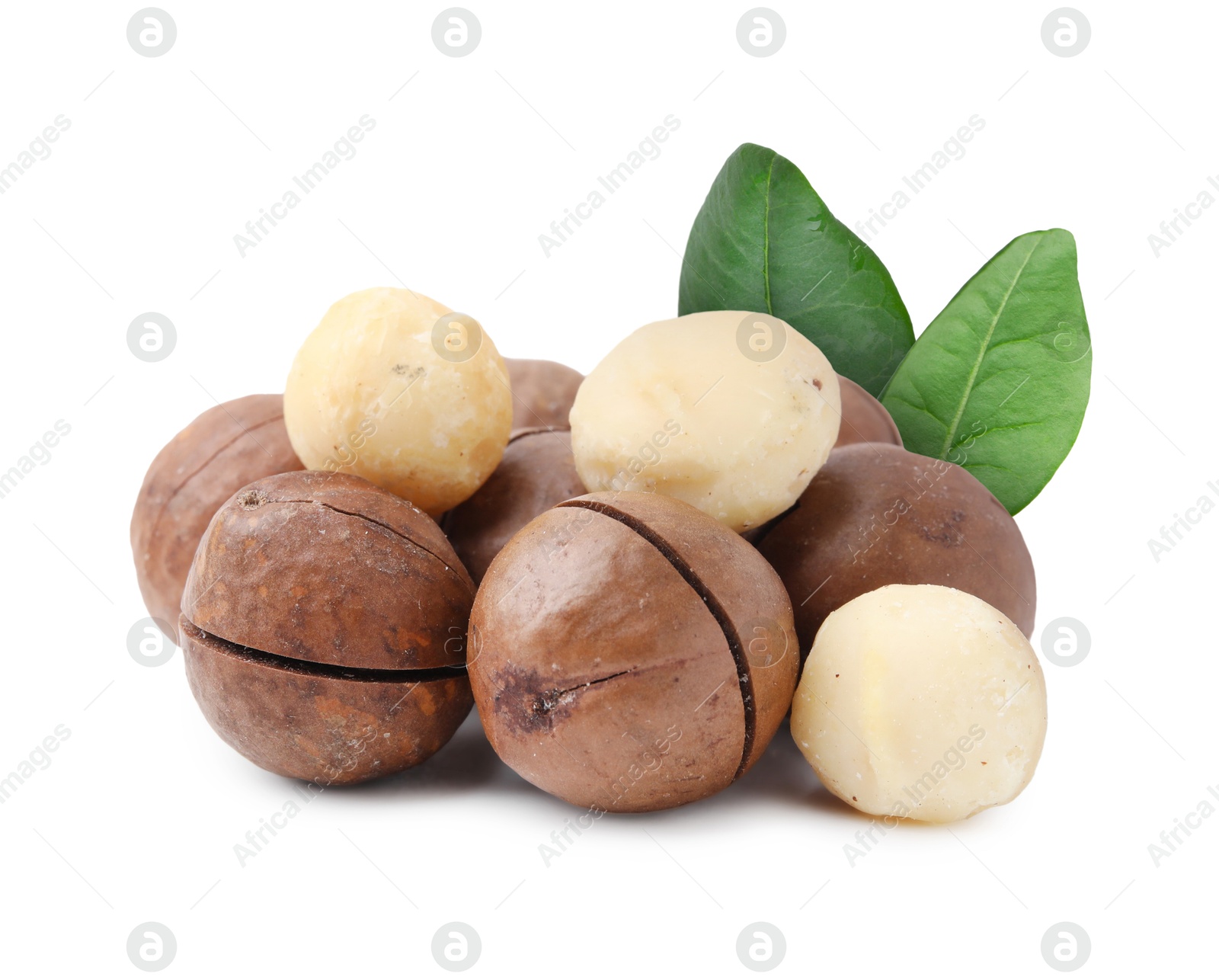 Image of Macadamia nuts and green leaves on white background