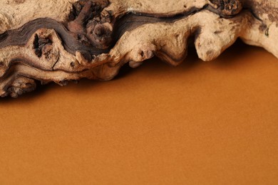 Piece of driftwood on brown background, closeup. Space for text