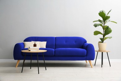 Image of Blue comfortable sofa, table and houseplant near grey wall in room