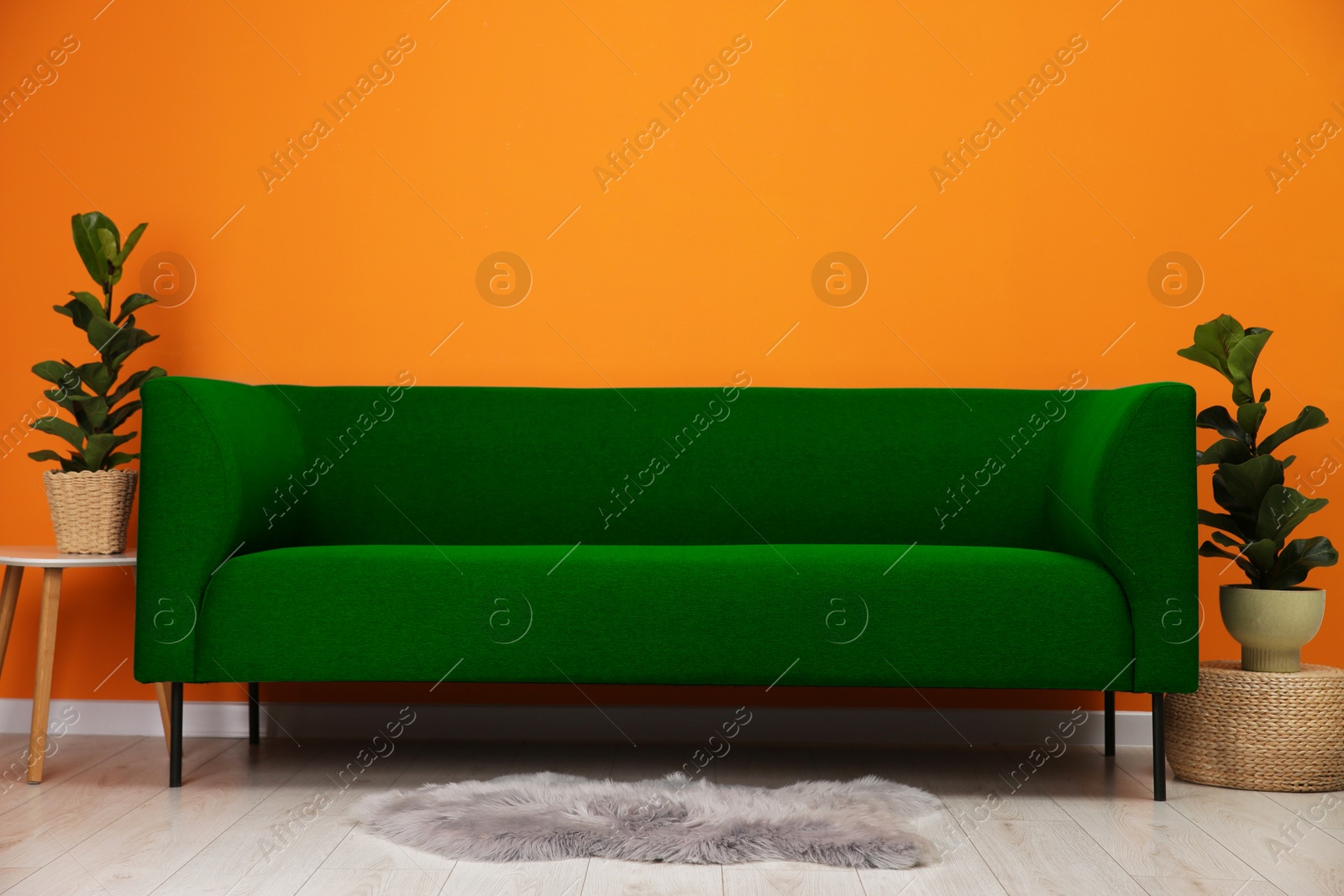 Image of Comfortable green sofa and houseplants near orange wall in room