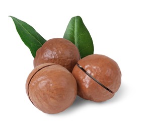 Image of Macadamia nuts and green leaves on white background