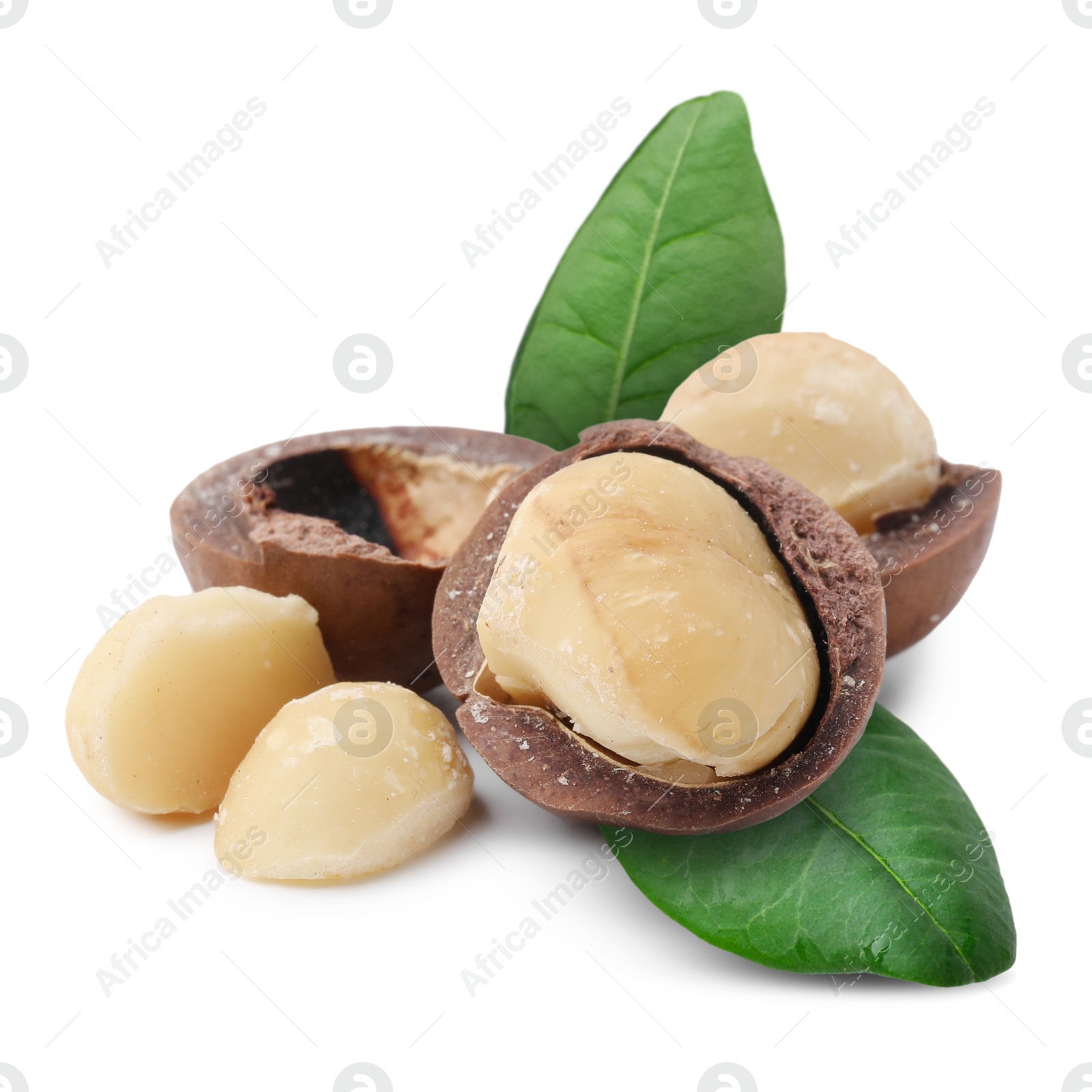 Image of Macadamia nuts and green leaves on white background