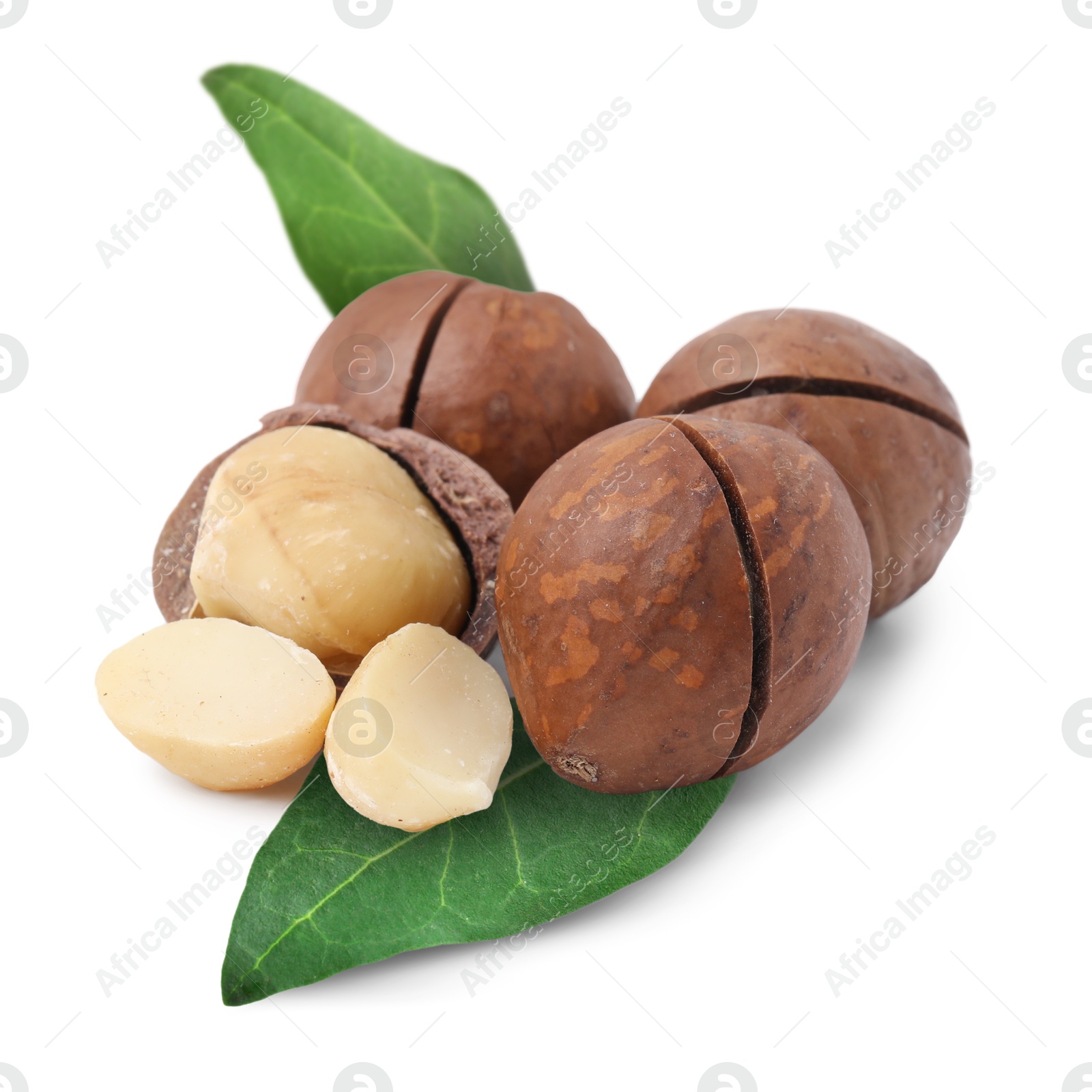 Image of Macadamia nuts and green leaves on white background