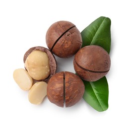 Image of Macadamia nuts and green leaves on white background, top view