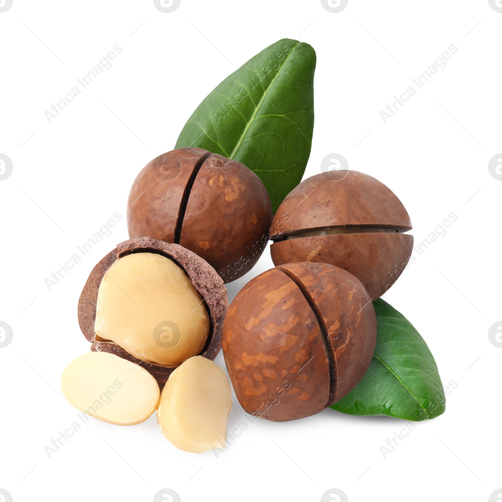 Image of Macadamia nuts and green leaves on white background