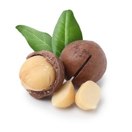 Image of Macadamia nuts and green leaves on white background