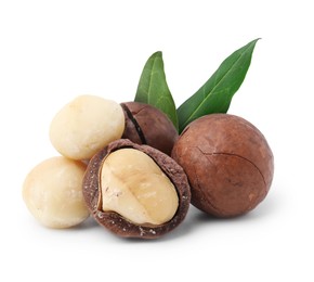 Image of Macadamia nuts and green leaves on white background